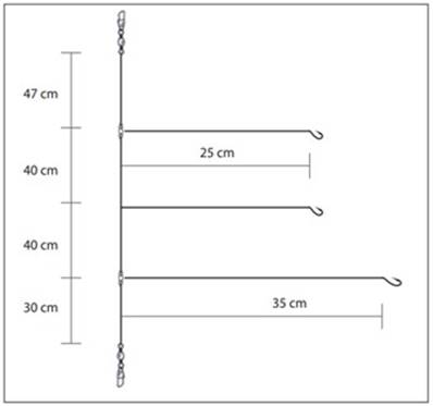 Bas de ligne surf triple ham n°4