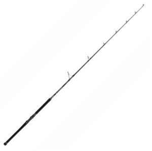Canne Penn Marine Brigade offshorecast 80g 2m23