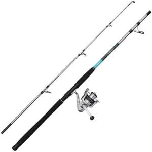 Combo MITCHELL neuron SW II boat 2.10m 100/300g