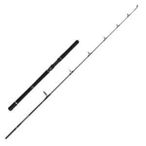Canne Penn Squadron IV Jig 661p1 40lbs 150-300g
