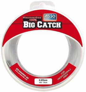 FLUOROCARBON BIG CATCH - 3 tailes