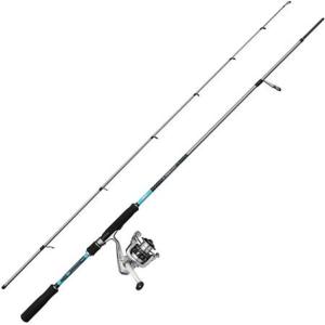 Combo MITCHELL neuron SW II mackerel 3.02m 120/300g 