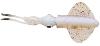 Leurre Savage Gears SWIM SQUID LRF 5cm 0.8gr GREEN EYE 5pcs