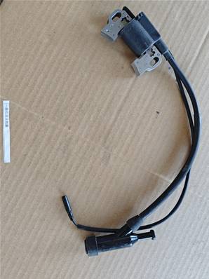 SAV Integrated igniter 10cv essence