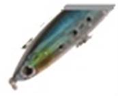 Poisson nageur Hart TORITO 80 - c30