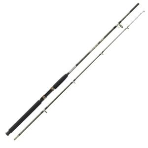 Canne YOKOZUNA ASTRAL 2m40 100/200gr
